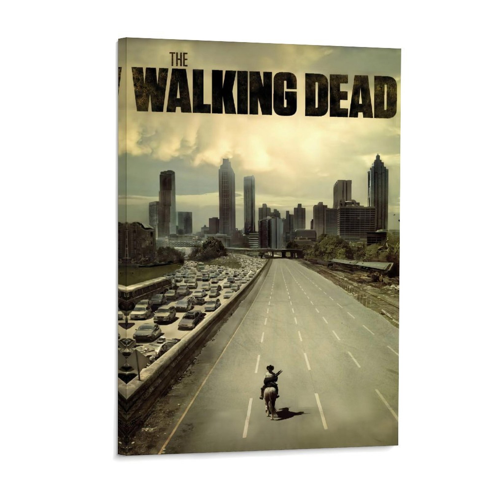 Home Bathroom Painting Ideas - The Walking Dead TV Show Poster